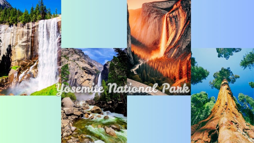  Yosemite National Park