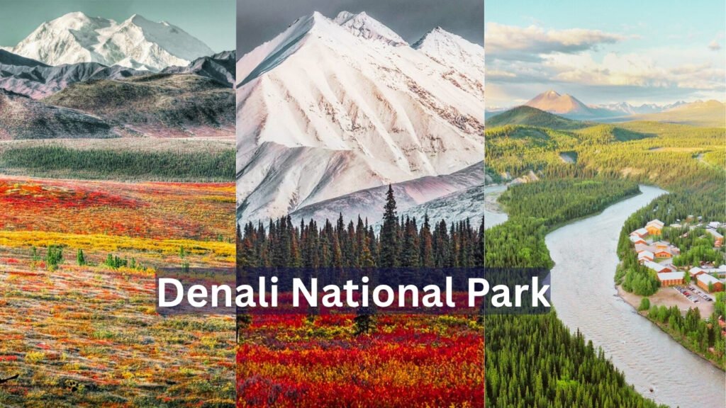 Denali National Park