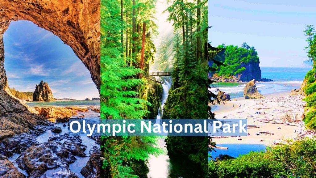 Olympic National Park